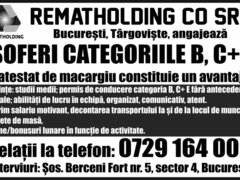 Soferi categoriile B, C+E pentru Rematholding Co SRL