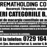 Soferi categoriile B, C+E pentru Rematholding Co SRL